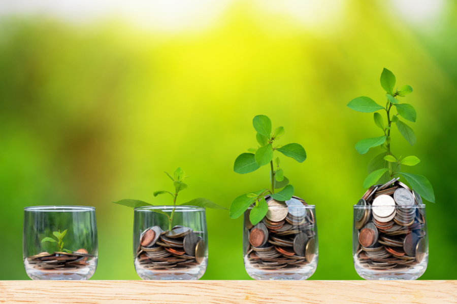 four cups with coins in them and growing plants